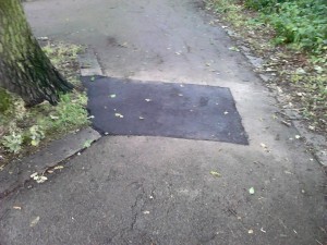 [photo]